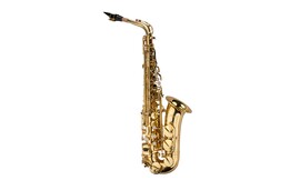 Saxo Alto con case Blast 