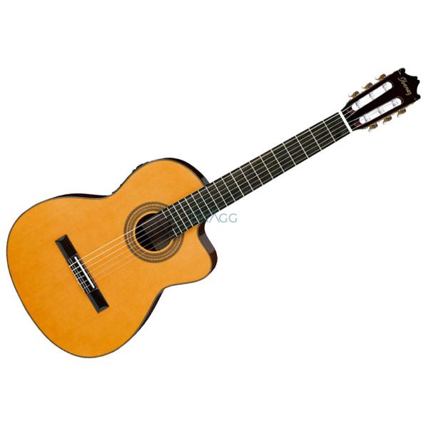 Guitarra Electroacustica Nylon Ibanez GA6CE 